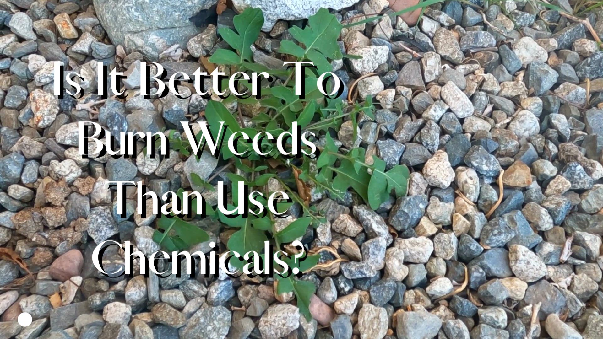 video of: Is It Better To Burn Weeds Than Use Chemicals?