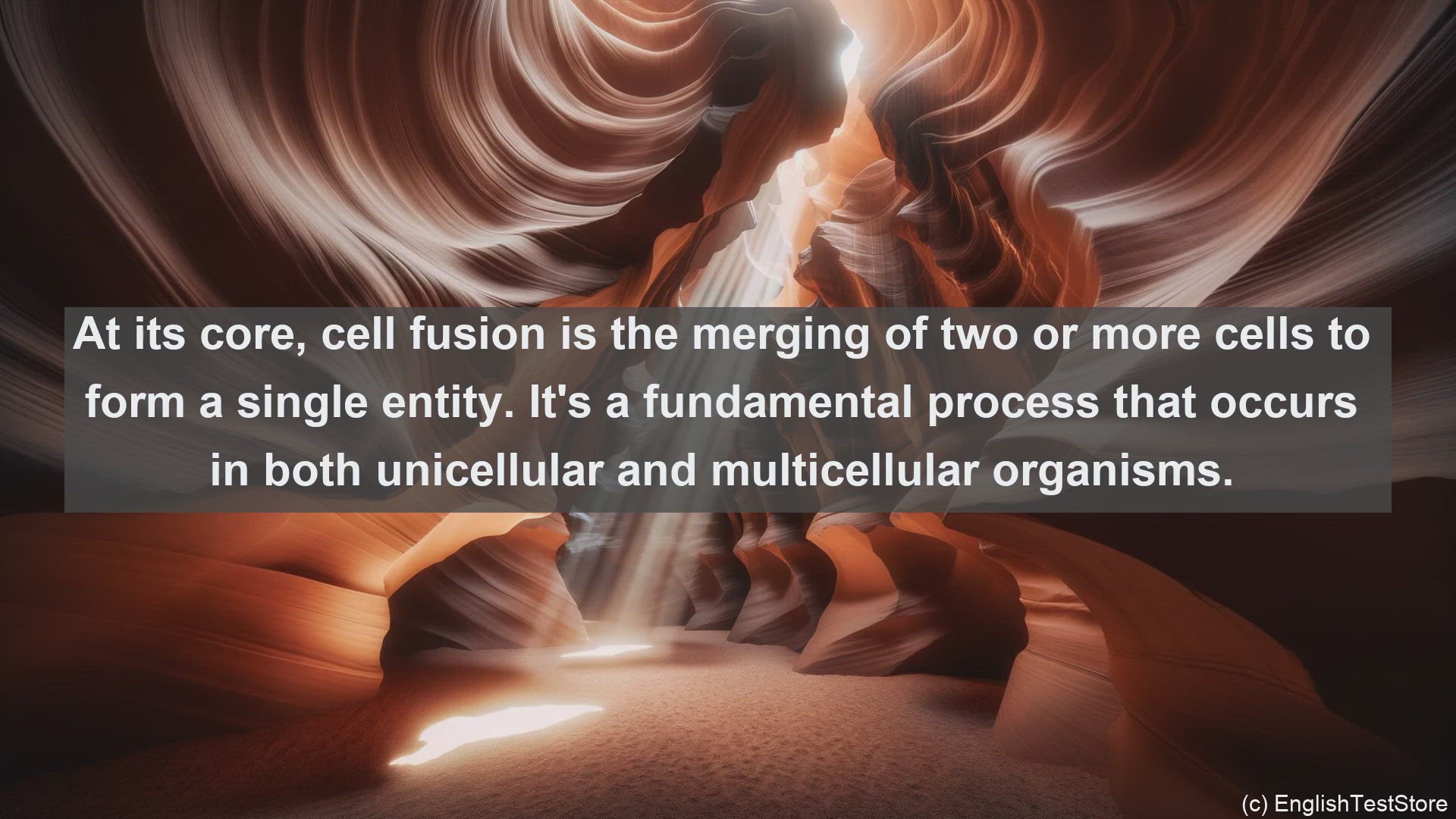 'Video thumbnail for Cell junction in science  definition and examples'