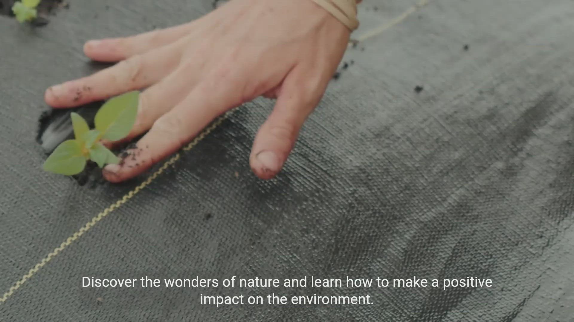 'Video thumbnail for Beginner's Guide to Environmental Conservation'