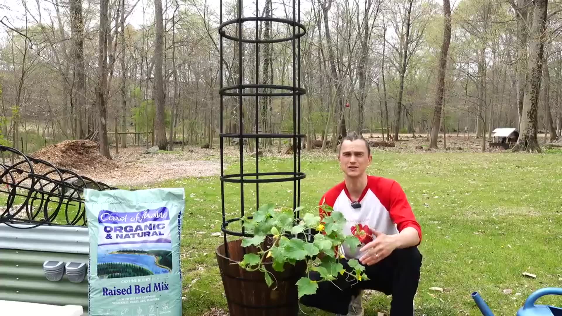 'Video thumbnail for CUCUMBERS - How to Grow in Containers for Maximum Yield - Easy'