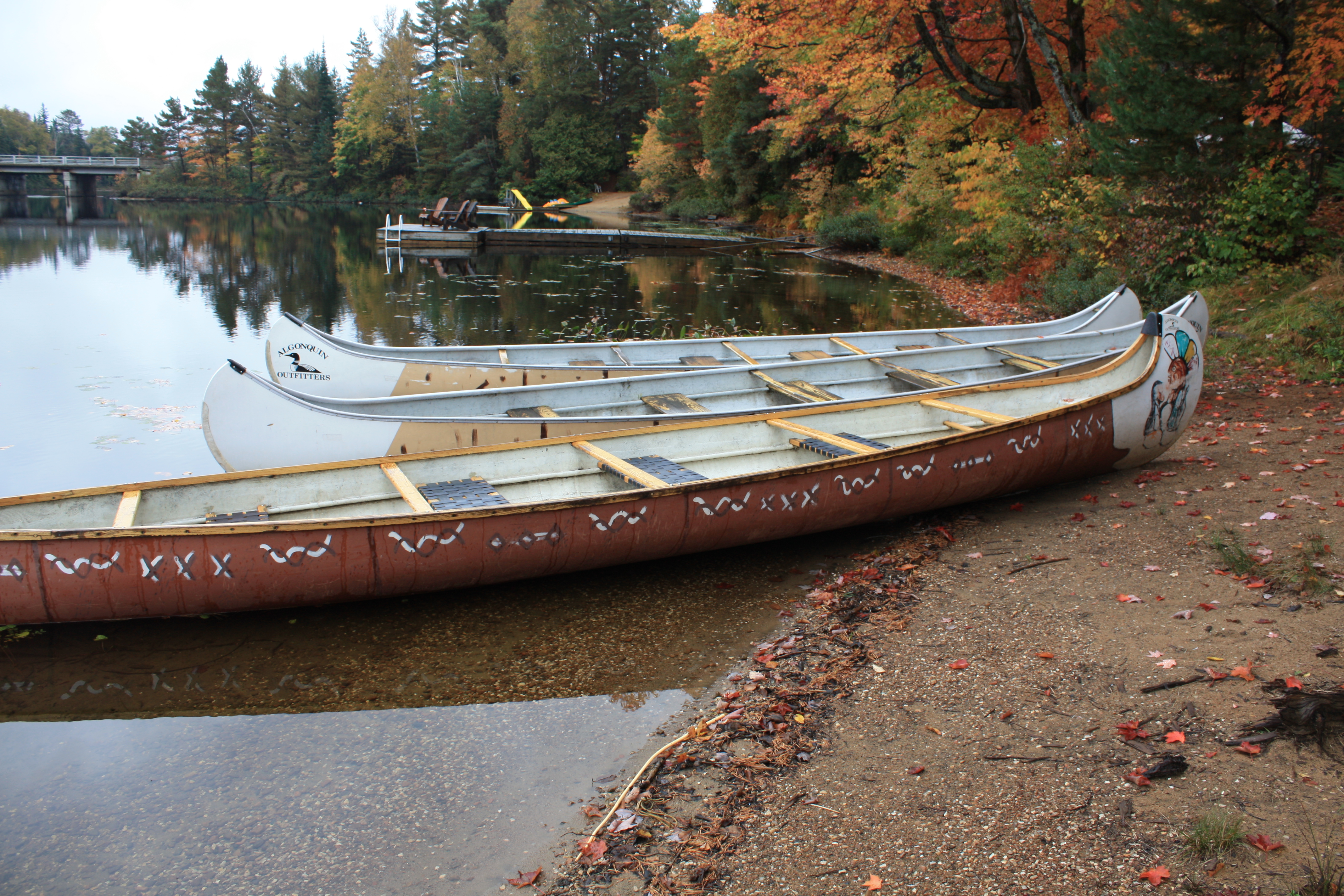 'Video thumbnail for Algonquin Provincial Park Kanada im Herbst: Entdecke Lodges, Bären und Wölfe in Ontario!'