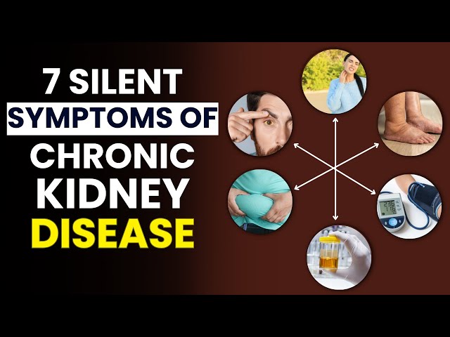 Video thumbnail for 7 Silent Symptoms of Chronic Kidney Disease | Symptoms of Chronic Kidney Disease | FitWise Daily