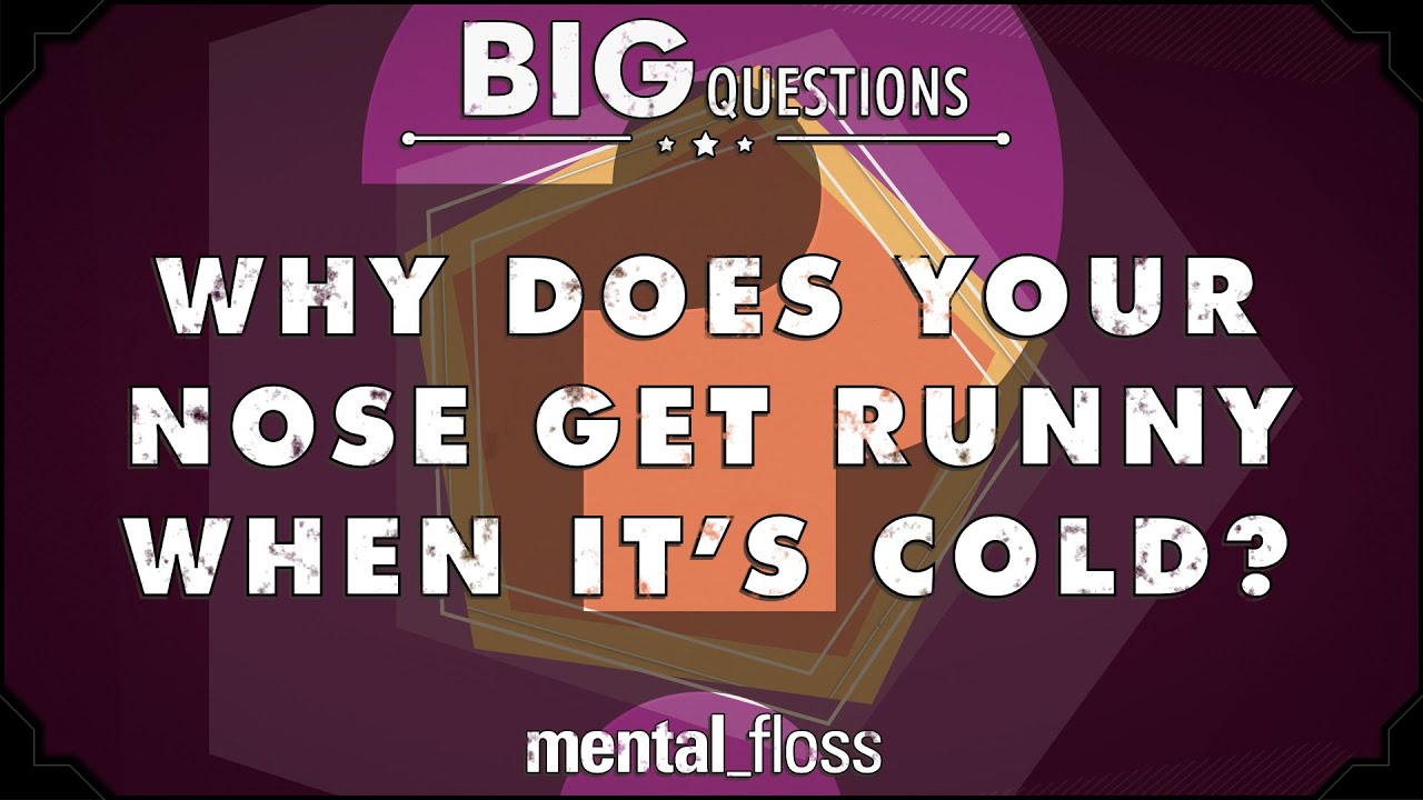 Video thumbnail for Why does your nose get runny when it's cold? - Big Questions - (Ep. 40) | Mental Floss