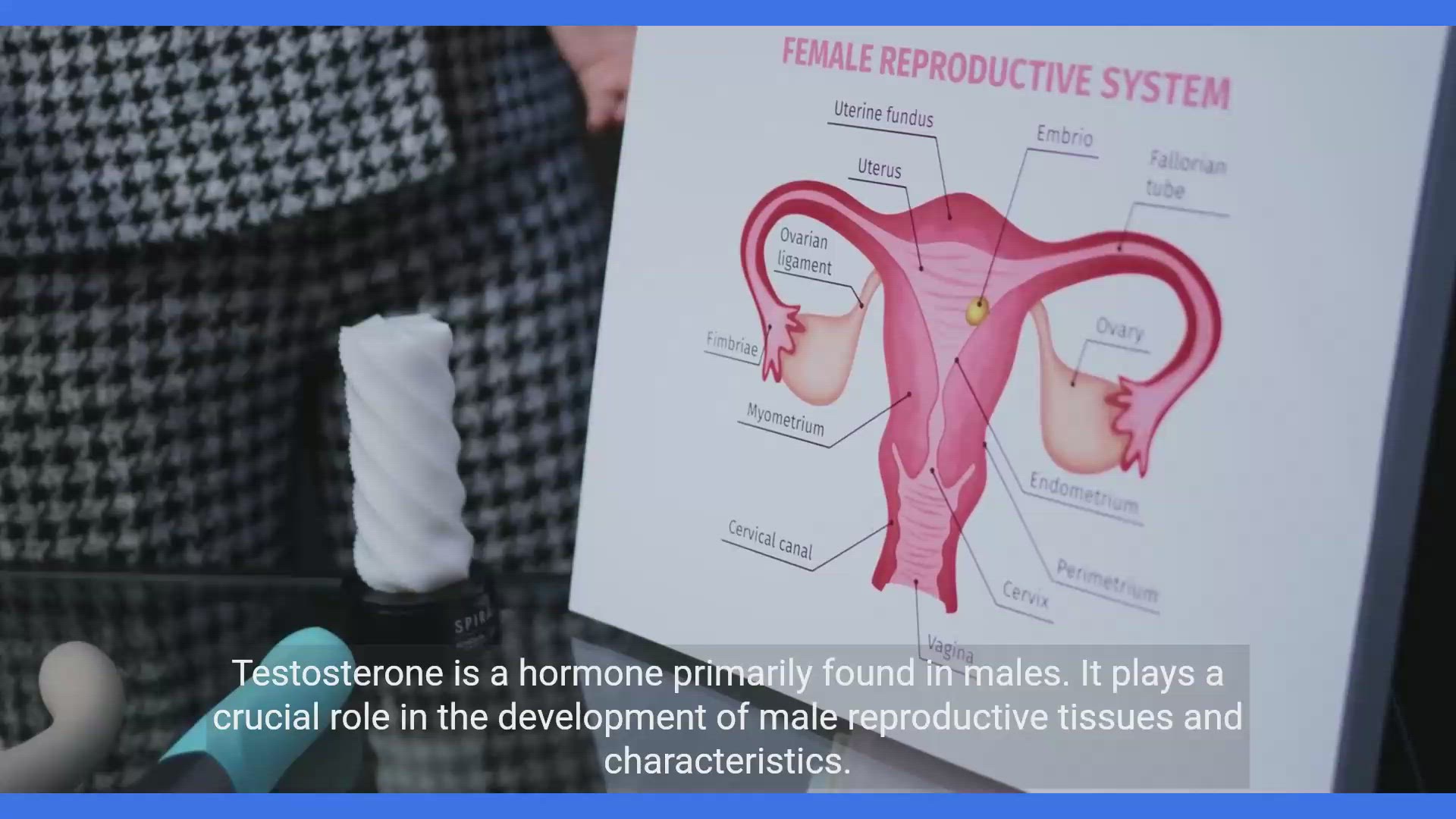'Video thumbnail for Understanding Testosterone: The Male Hormone '