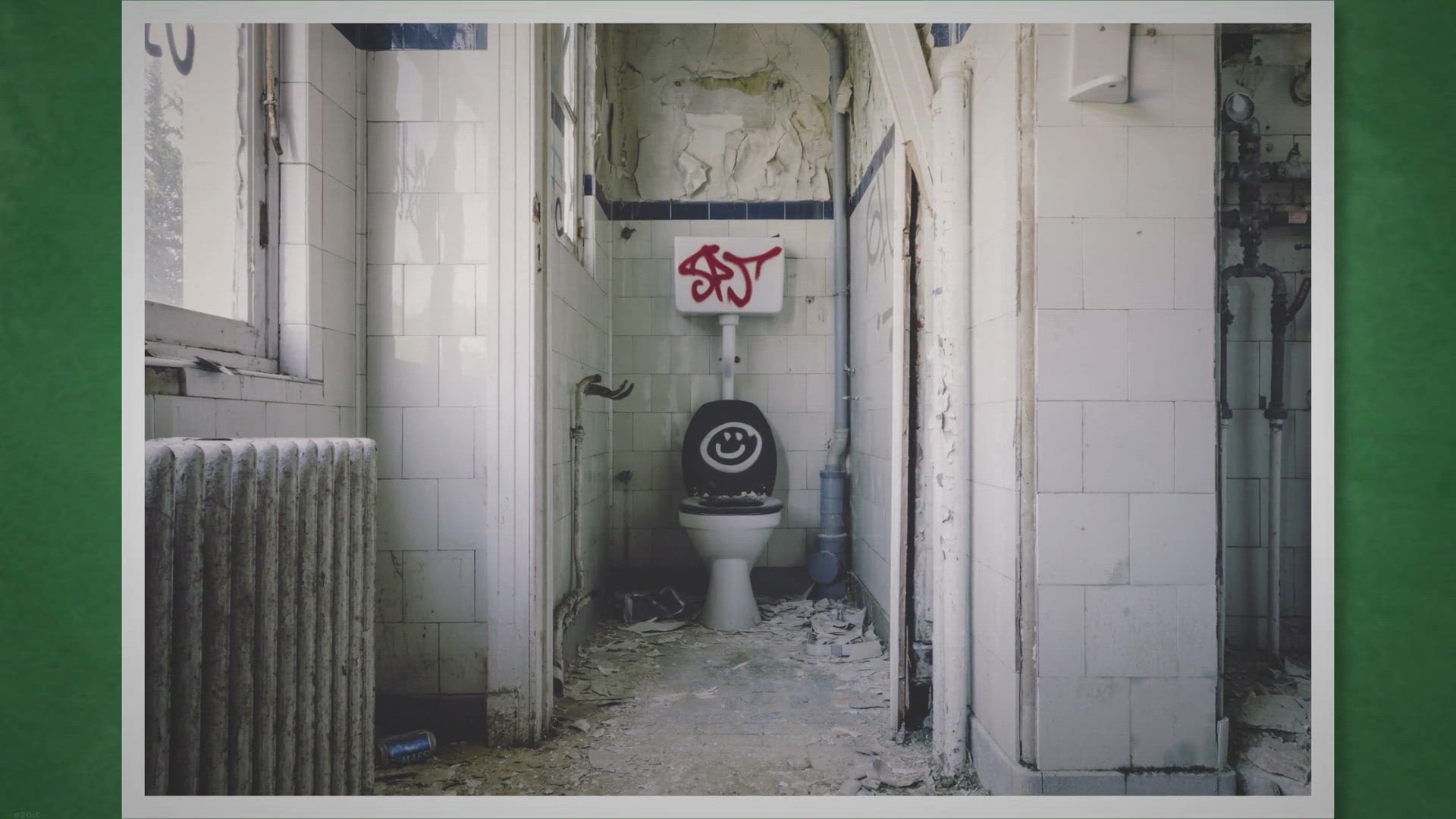 'Video thumbnail for Toilet Bowl Automatic Cleaners'