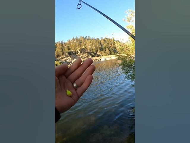 Video thumbnail for Summer Trout Fishing Technique for Big Bear Lake