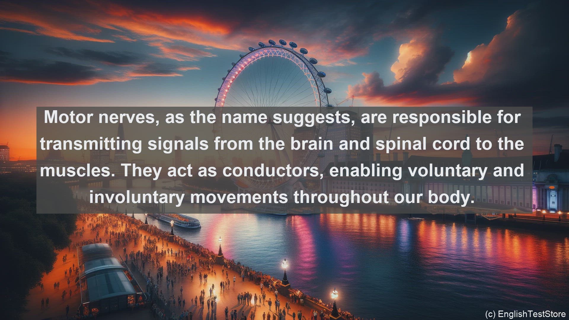 'Video thumbnail for Motor nerve in science  definition and examples'