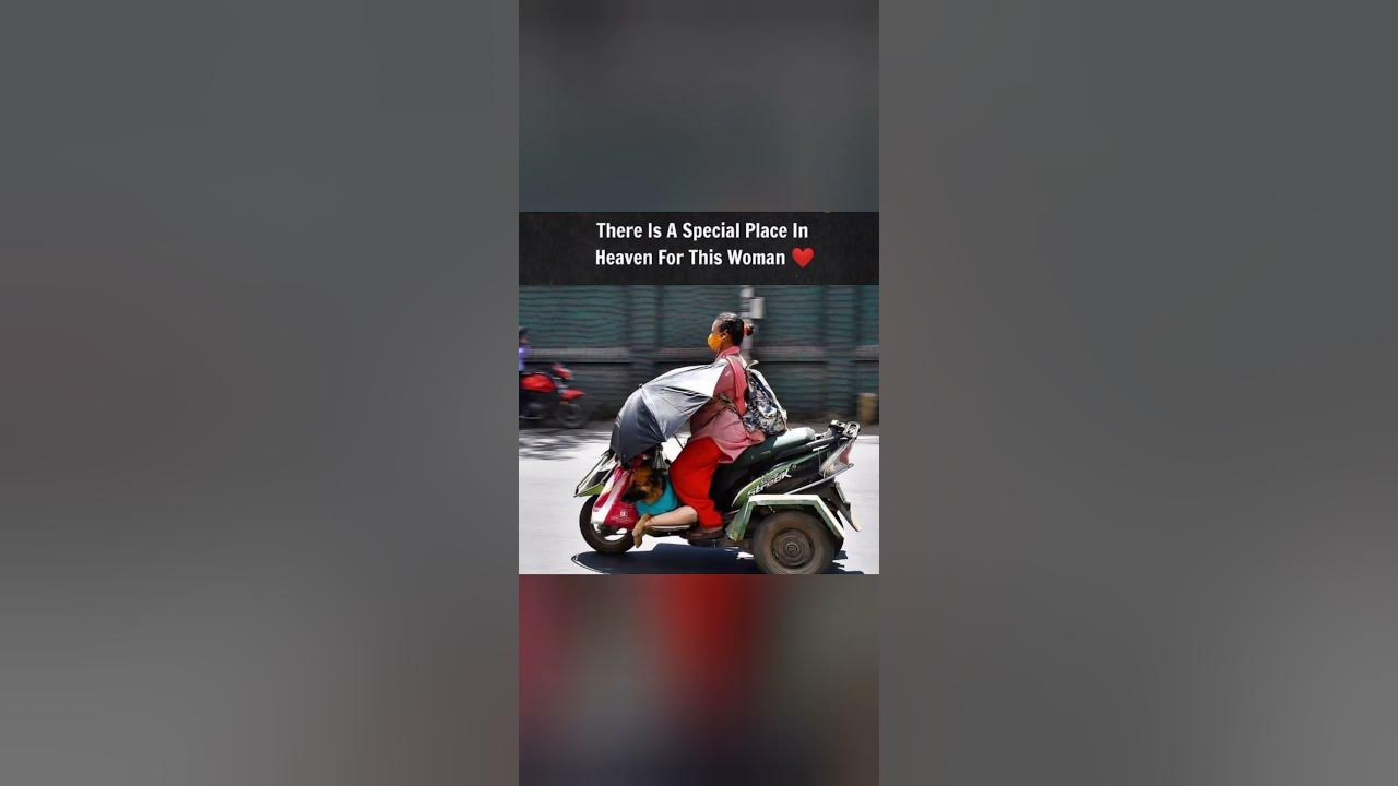 'Video thumbnail for Memes only Legends will find funny,op memes | Relatable memes | #168 #shorts #memes #anonymous #meme'