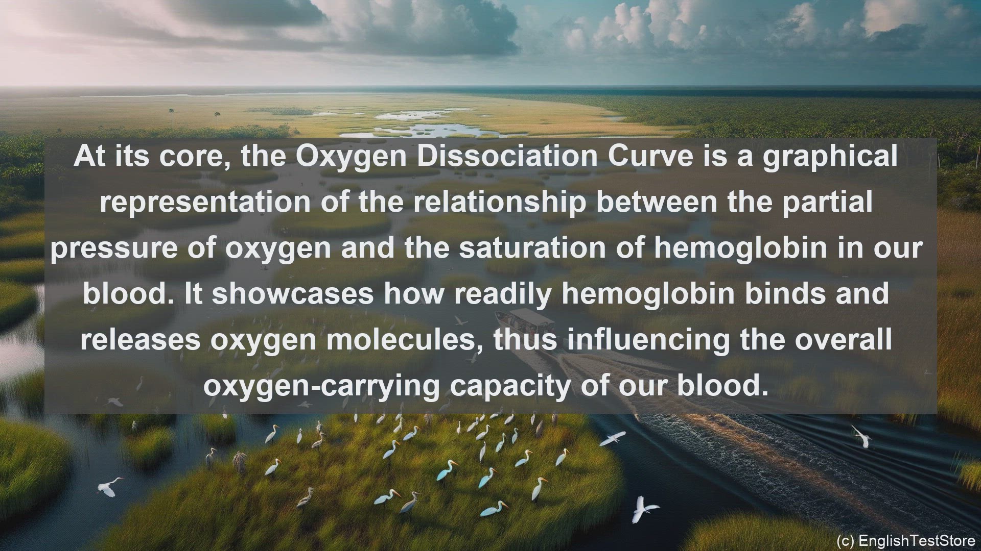 'Video thumbnail for Oxygen dissociation curve in science  definition and examples'