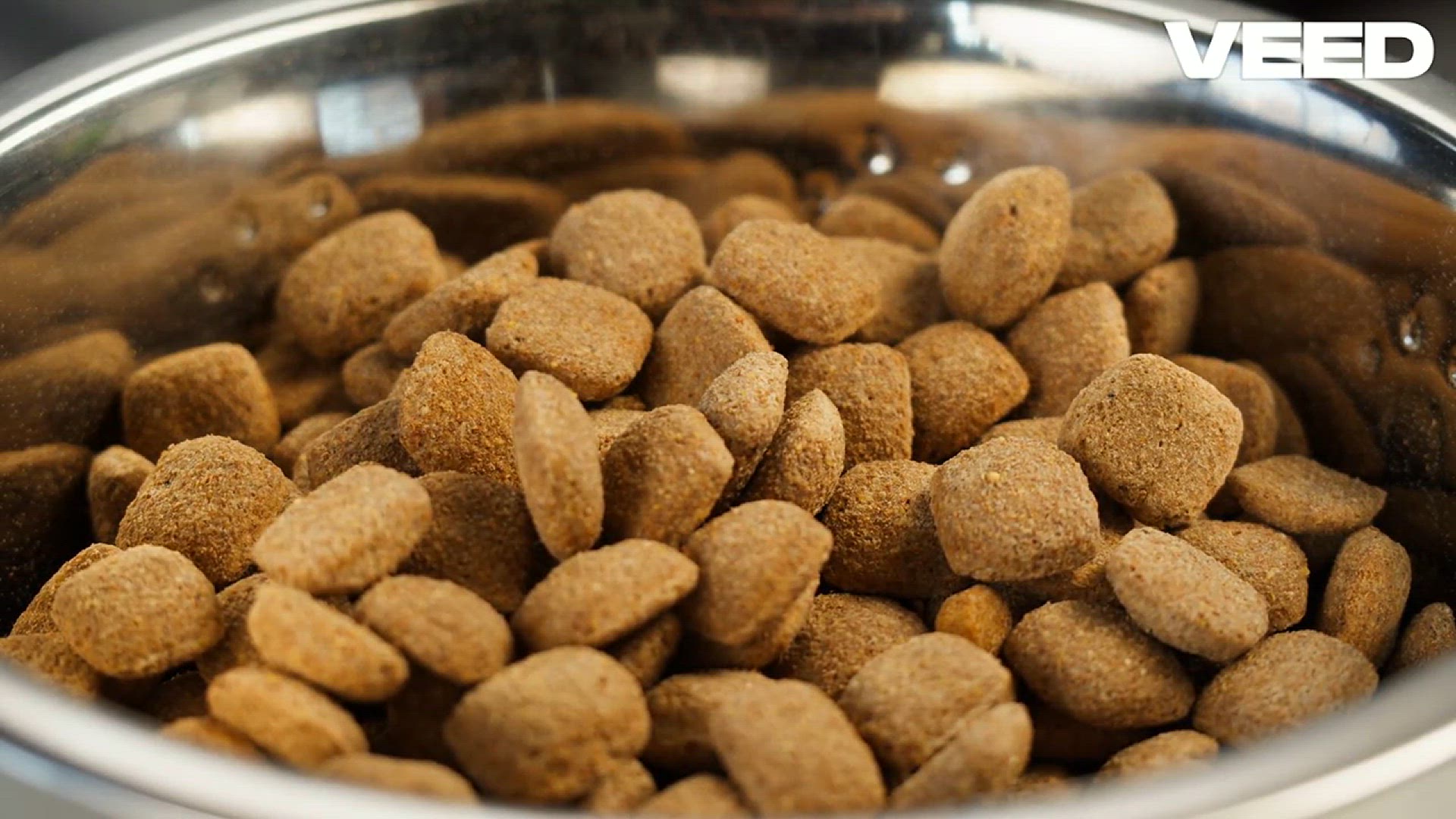 'Video thumbnail for Essential Tips for Choosing Dog Food'