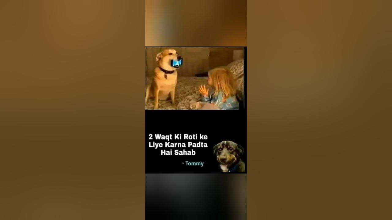 'Video thumbnail for funny memes that will make you laugh #651 || legend memes ||  funny relatable memes 😂 #memes #shorts'