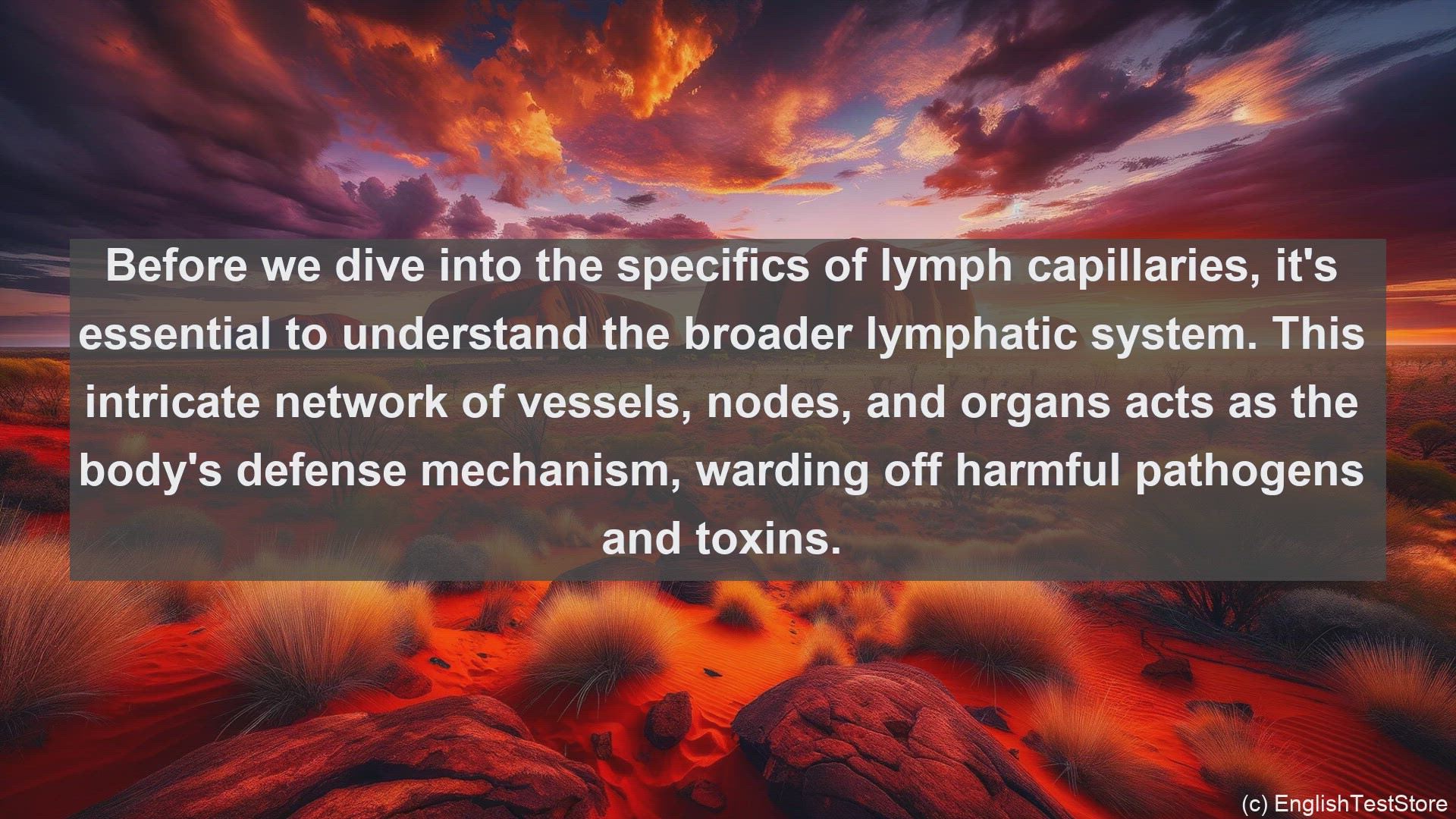 'Video thumbnail for Lymph capillaries in science  definition and examples'