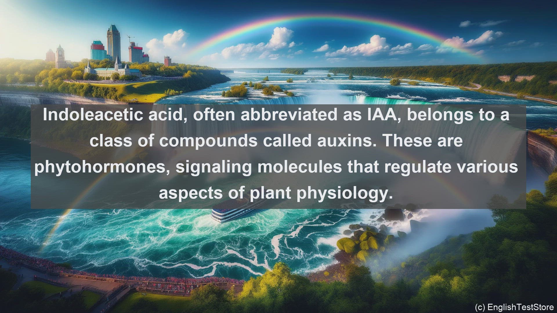 'Video thumbnail for Indoleacetic acid in science  definition and examples'