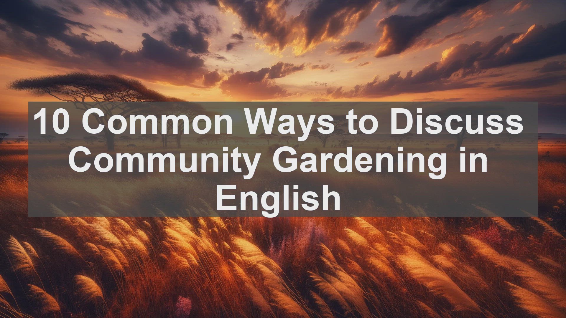 'Video thumbnail for 10 Common Ways to Discuss Community Gardening in English '