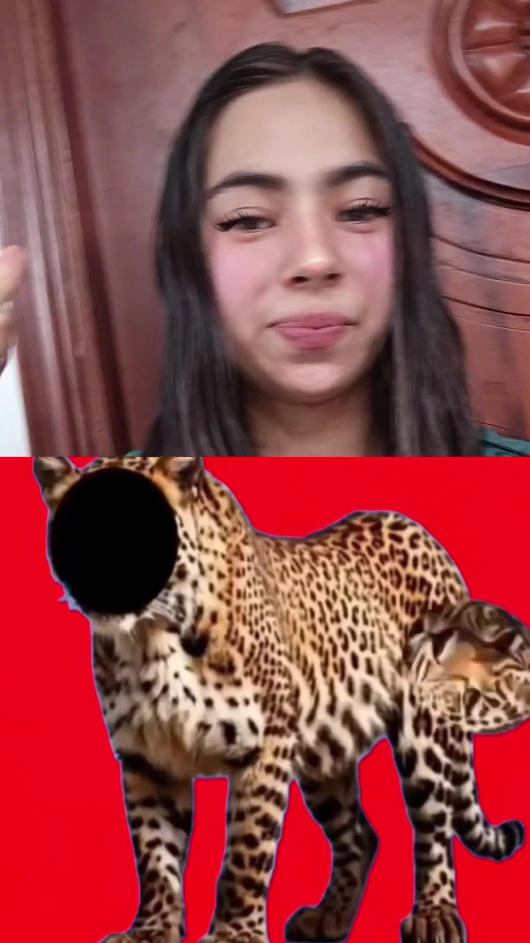 'Video thumbnail for Reto veloz #retosvirales #entretenimiento #relsviralシ'