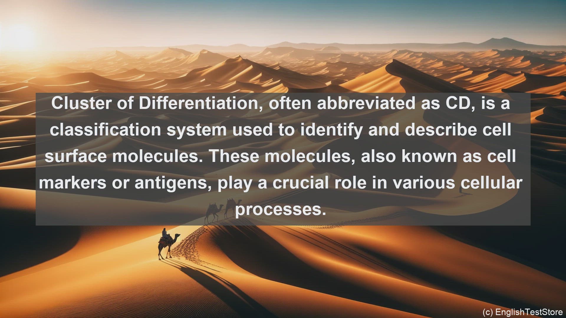 'Video thumbnail for Cluster of differentiation in science  definition and examples'