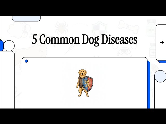 'Video thumbnail for 5 Most Common Dog Diseases: How to Protect Your Dog from Them?'