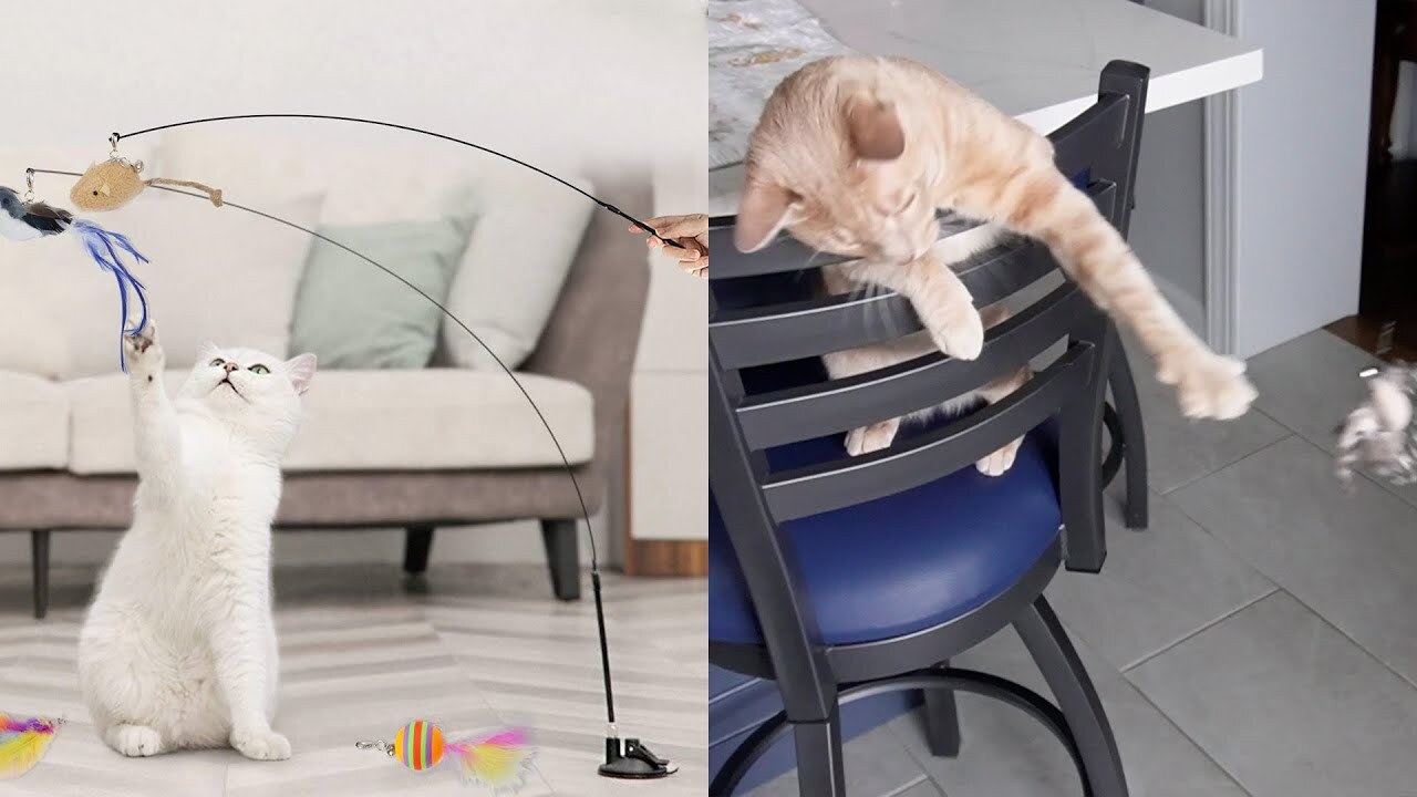 'Video thumbnail for 4 Pack Cat Toys Wand Review'