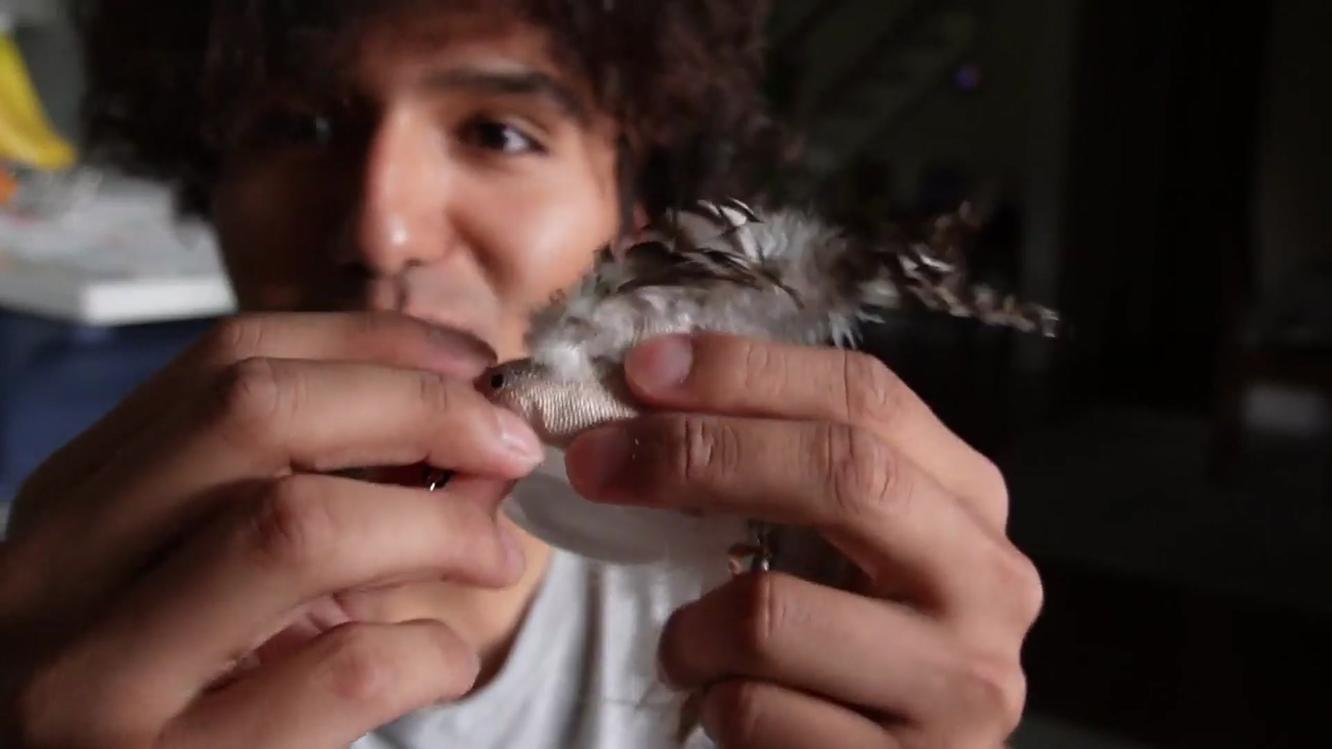 'Video thumbnail for 4 Pack Cat Toys Wand Review'