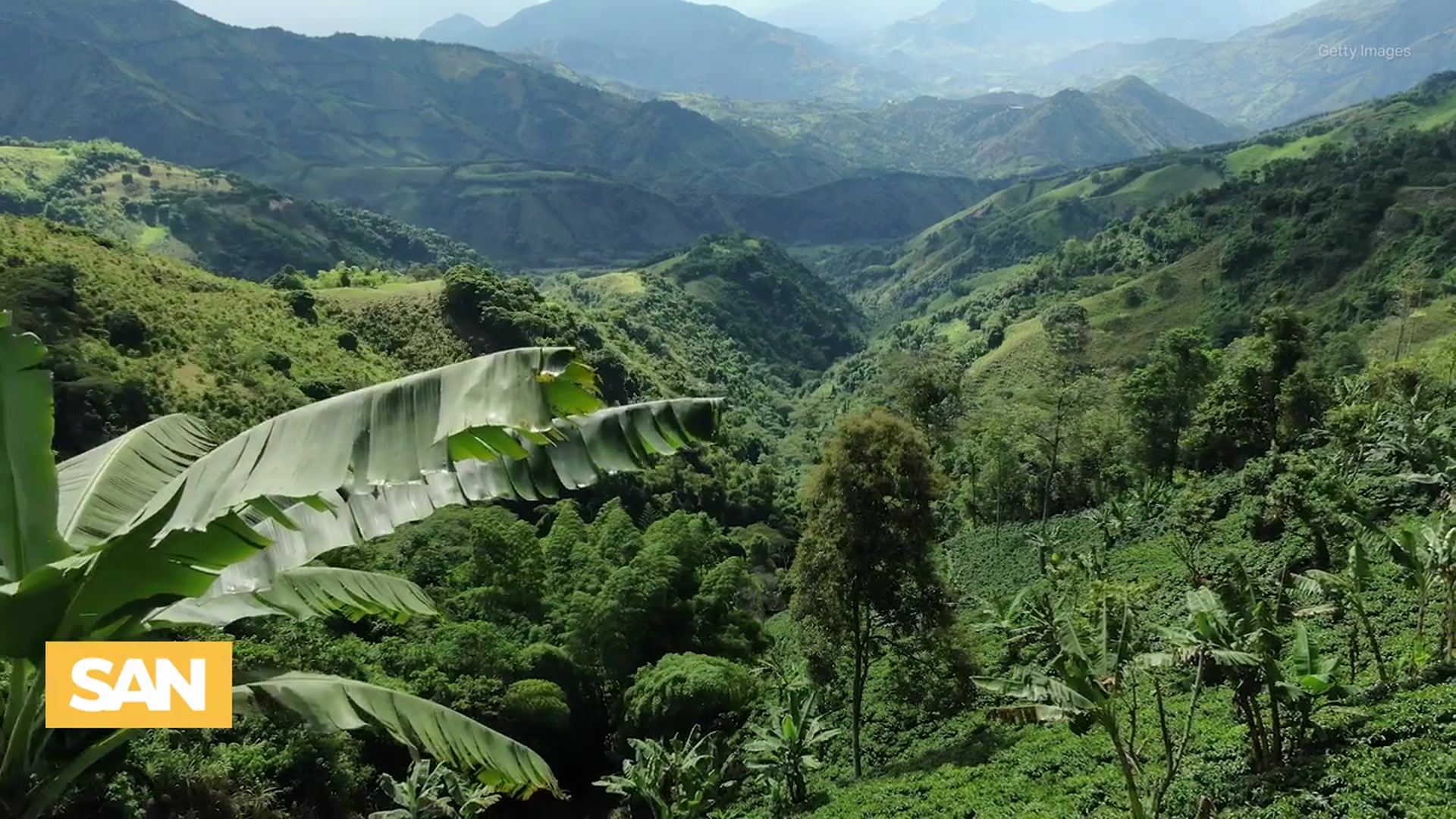 'Video thumbnail for World sees record highs in cocaine use and production'
