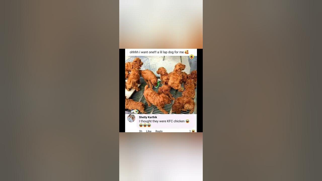 'Video thumbnail for Memes only Legends will find funny,op memes | Relatable memes | #221 #shorts #memes #anonymous #meme'