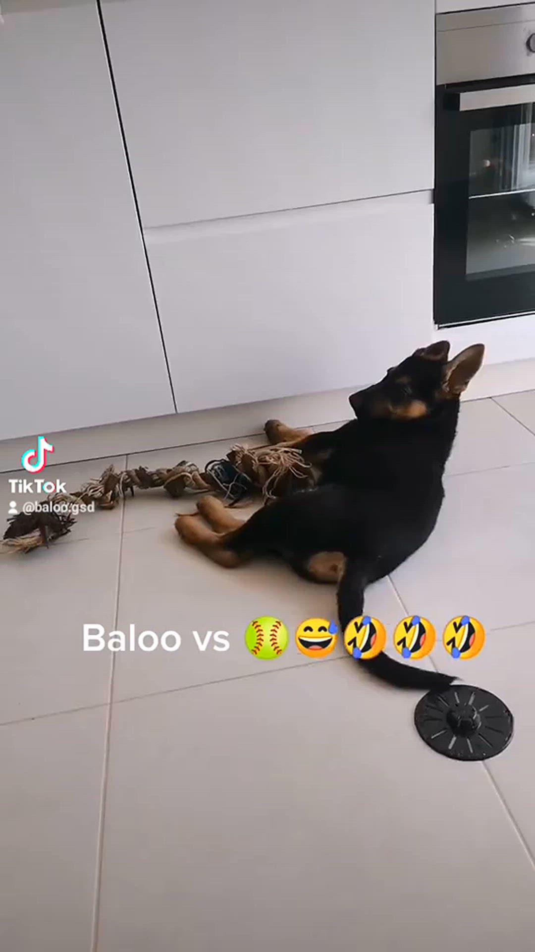 'Video thumbnail for Baloo-Star.com'