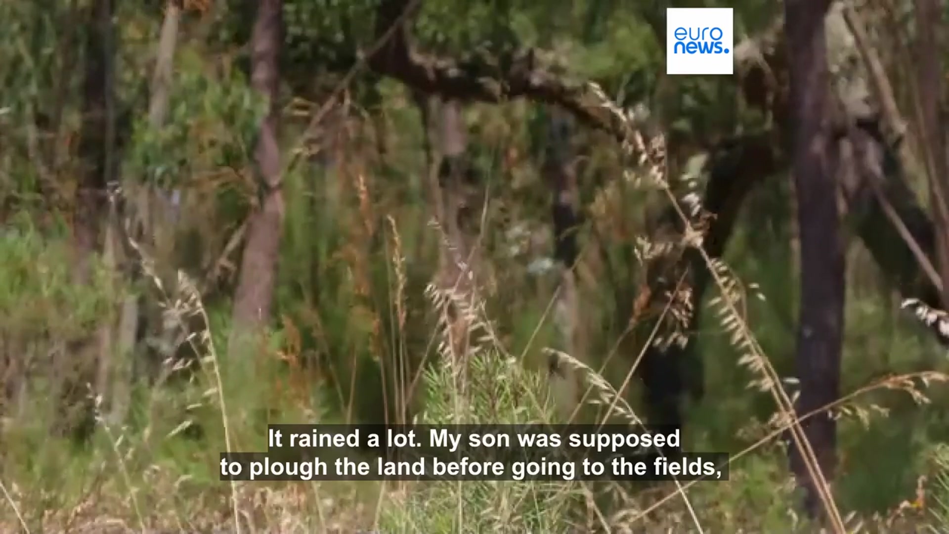 'Video thumbnail for Portugese landowners face fines as wildfire inspections begin'
