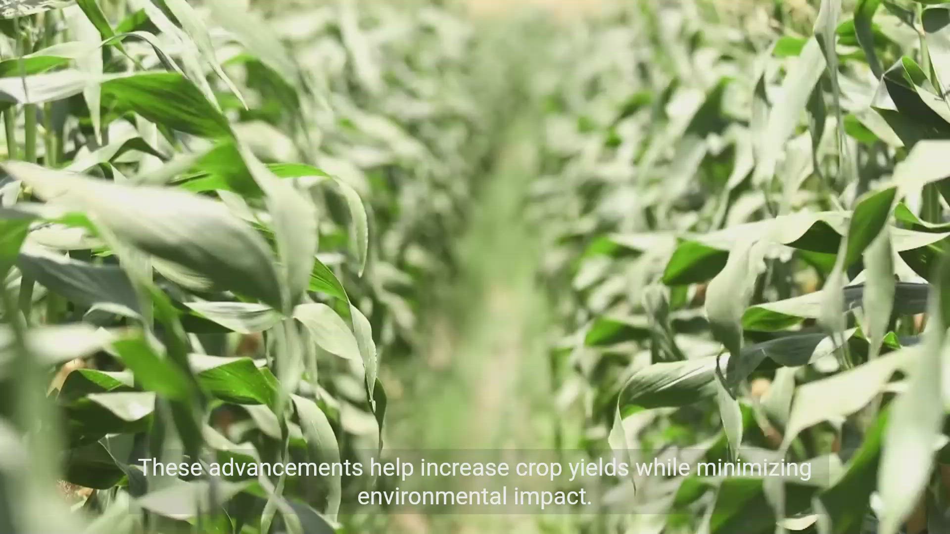 'Video thumbnail for Biotechnological Solutions for Sustainable Farming'