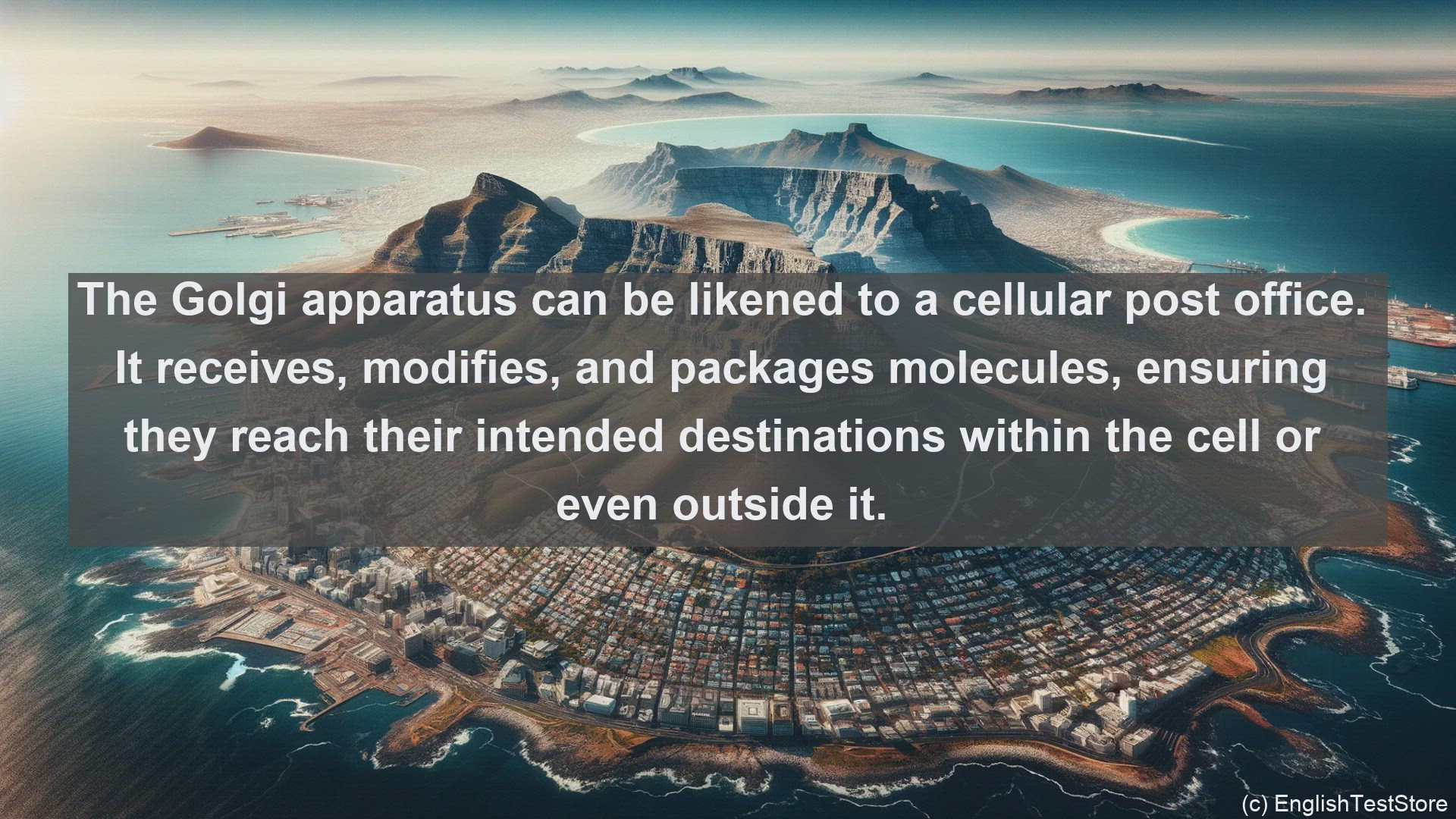 'Video thumbnail for Golgi apparatus in science  definition and examples'