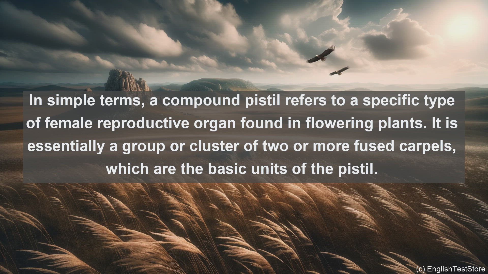 'Video thumbnail for Compound pistil in science  definition and examples'