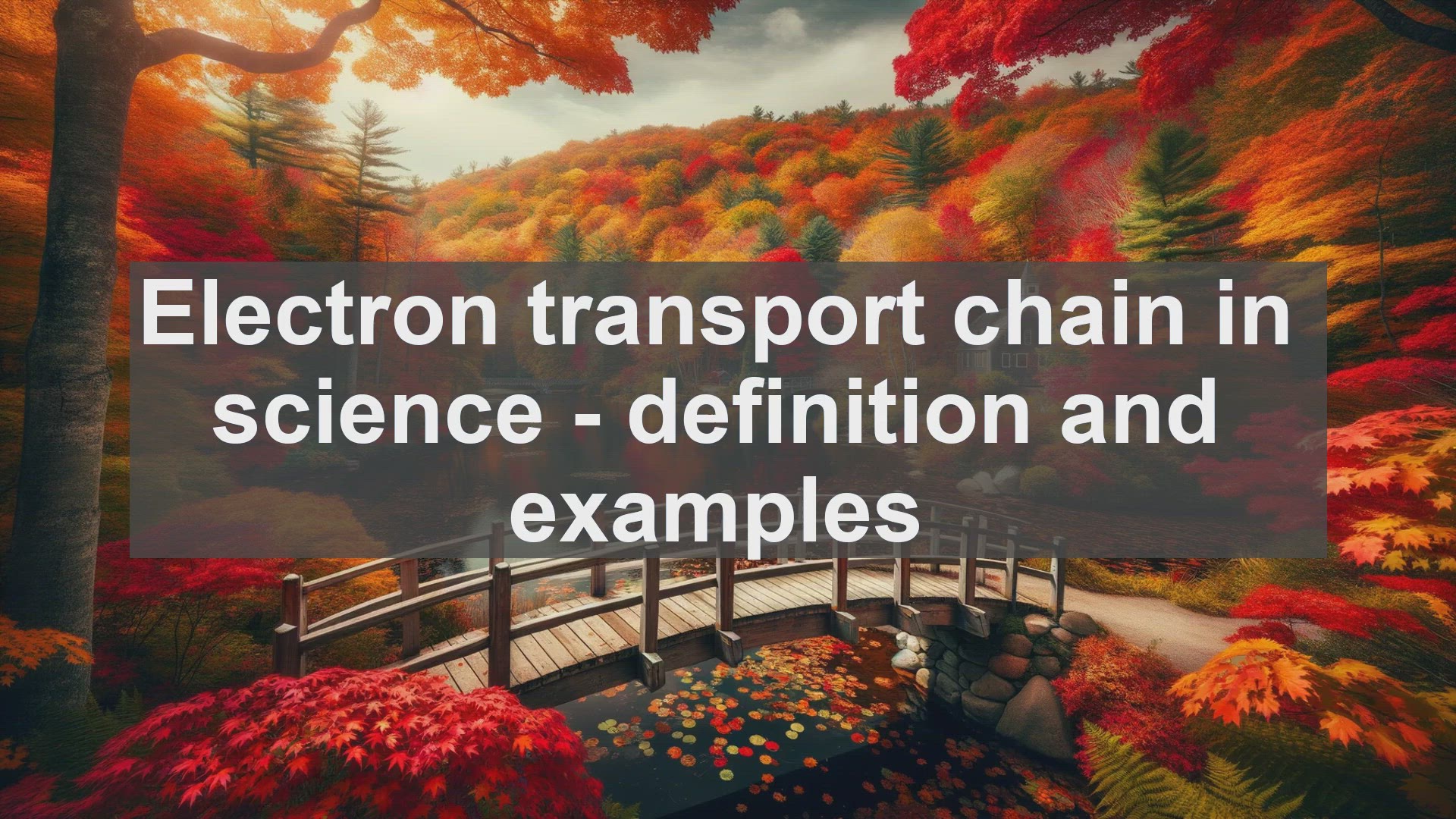 'Video thumbnail for Electron transport chain in science  definition and examples'