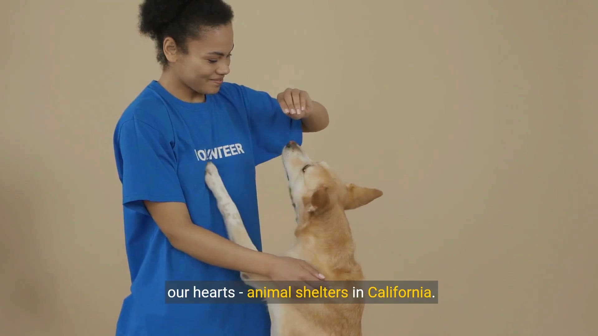 Video thumbnail for Rescuing Hope Inside Animal Shelters in California | Rescue, Rehabilitate, and Support