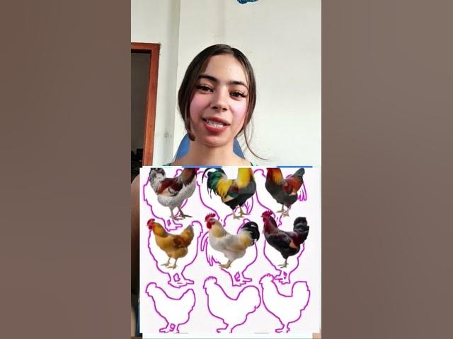 Video thumbnail for Reto imposible #arianagatitalbi #relsviralシ #retovirales #entrenamiento #retosvirales