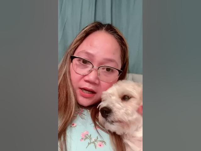 Video thumbnail for #came from bible study#my dog is sick#look sad#my handsome dog