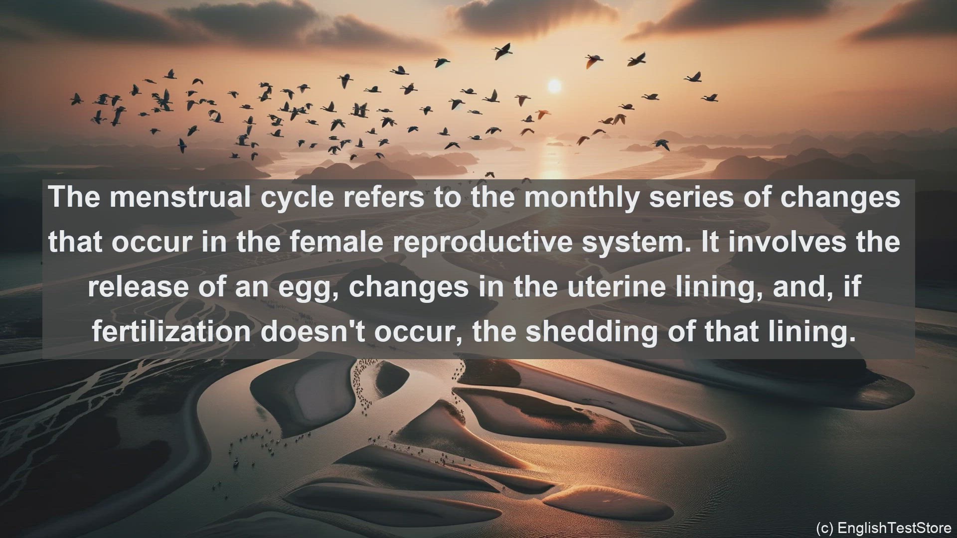 'Video thumbnail for Menstrual cycle in science  definition and examples'