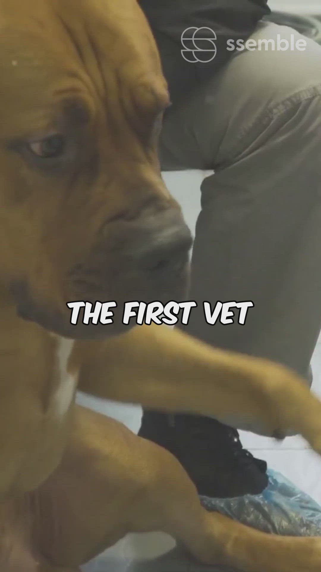 'Video thumbnail for Vet 101'