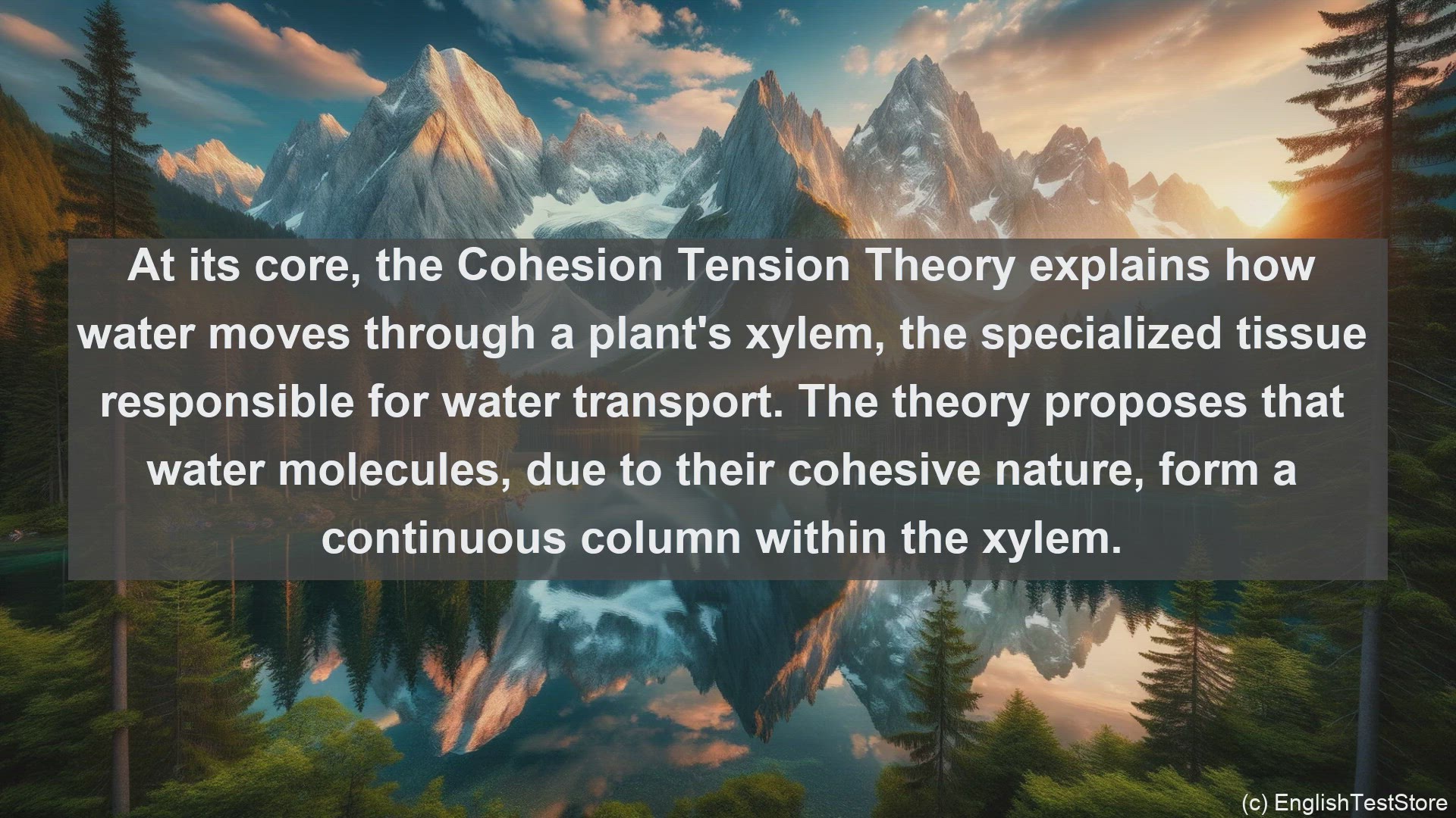 'Video thumbnail for Cohesion tension theory in science  definition and examples'