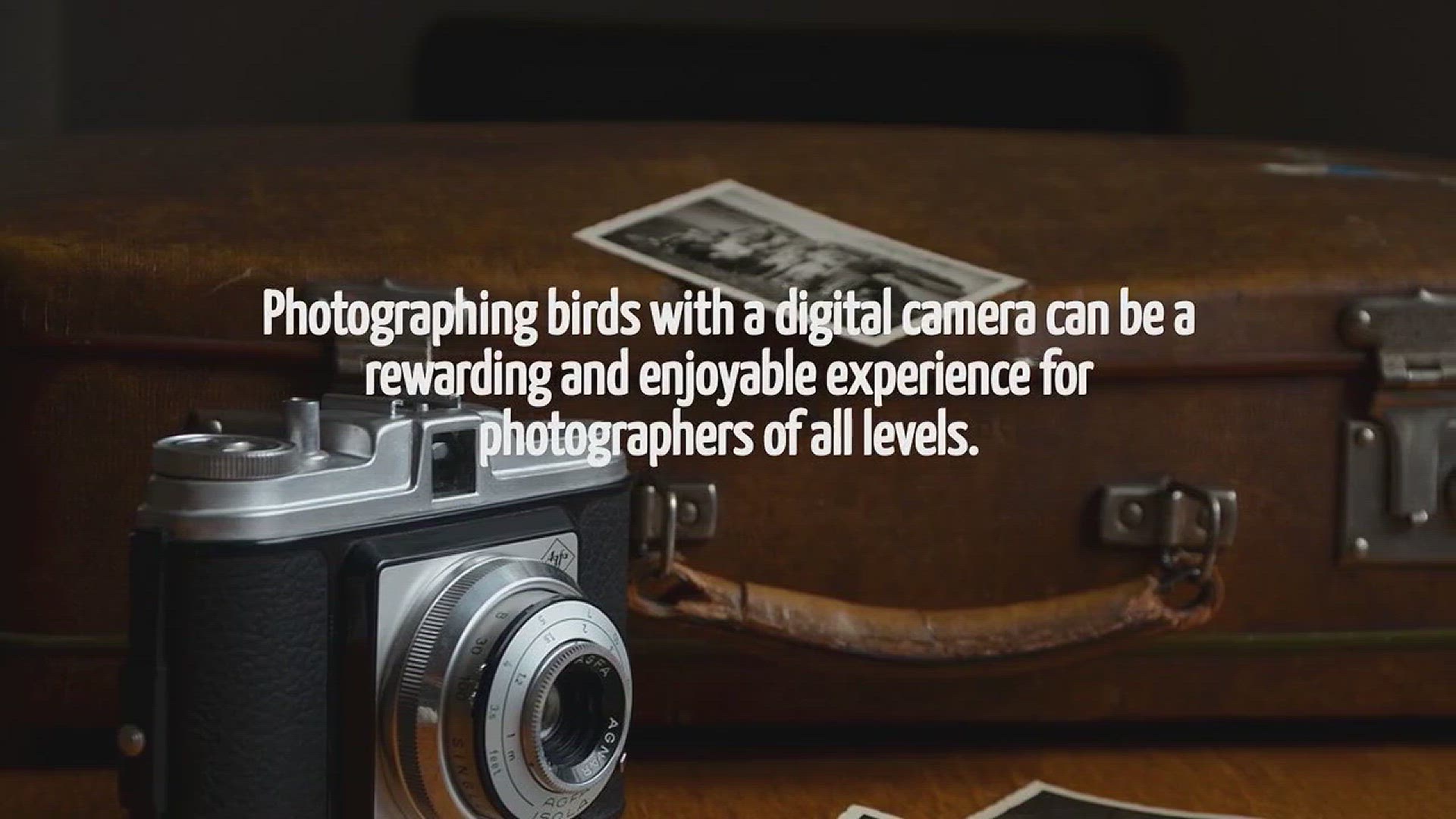 Video thumbnail for How To Photograph Birds With A Digital Camera