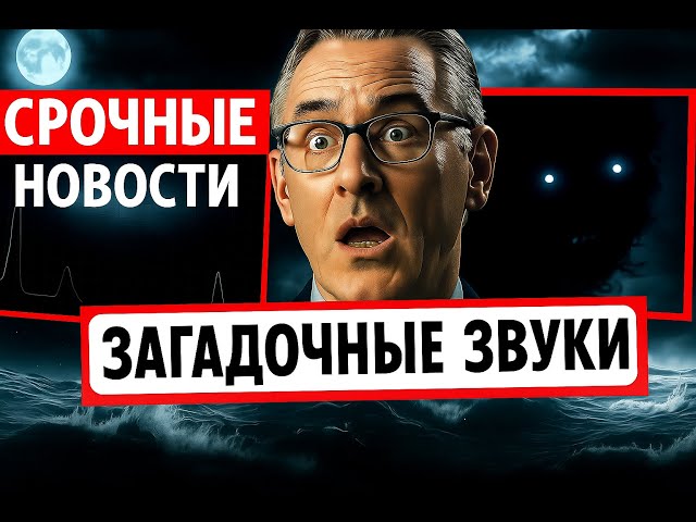 Video thumbnail for Загадочные звуки из глубин океана — кто их издаёт!?