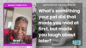 Video thumbnail for Brad's brand new cat ransacked his kitchen. RIP!