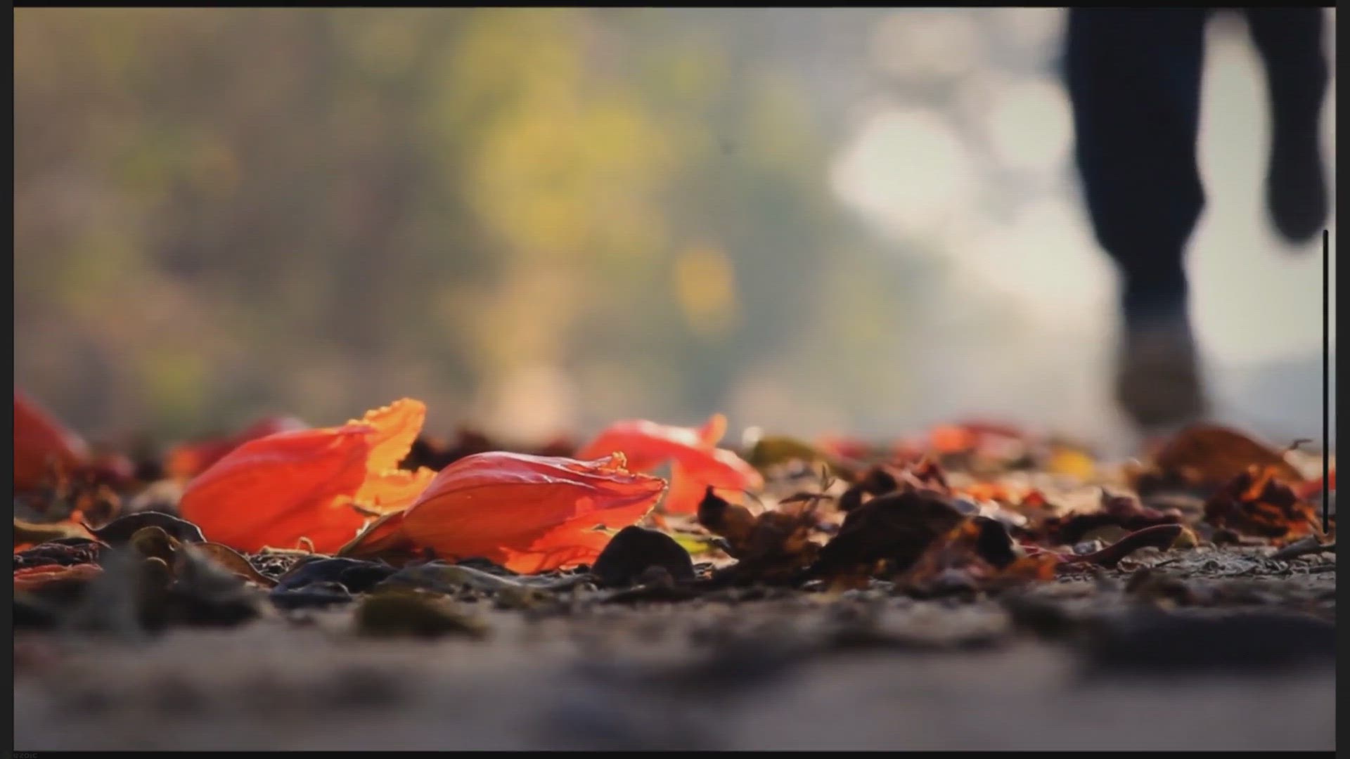 Video thumbnail for Dream of running away from a snake