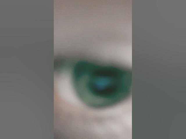 Video thumbnail for 6 October 2025