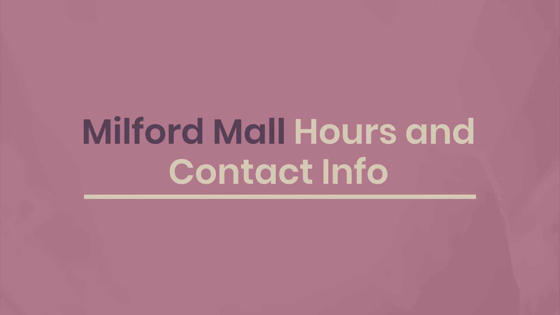 CT DMV Office in Bridgeport Application Renewal Replacement