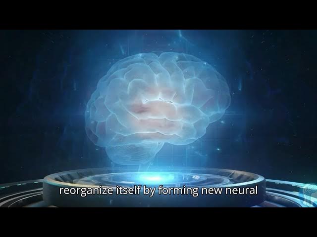 Video thumbnail for The Brain Can Predict The Future ! A New Study Suggests