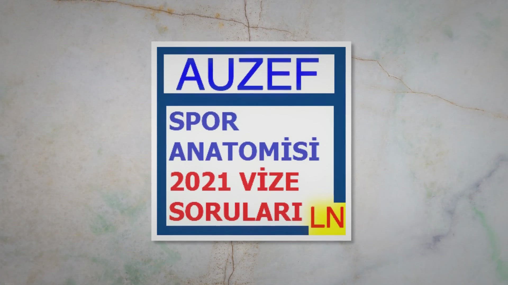 'Video thumbnail for Spor Anatomisi 2021 Vize Soruları'