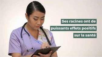 Video thumbnail for Ginseng de Mandchourie