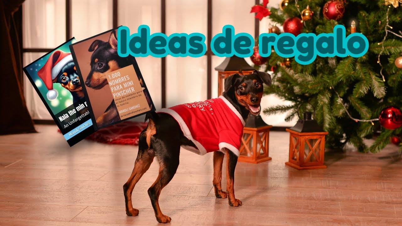 Video thumbnail for 馃悤Cuento infantil con MINI PINSCHER   鉂わ笍