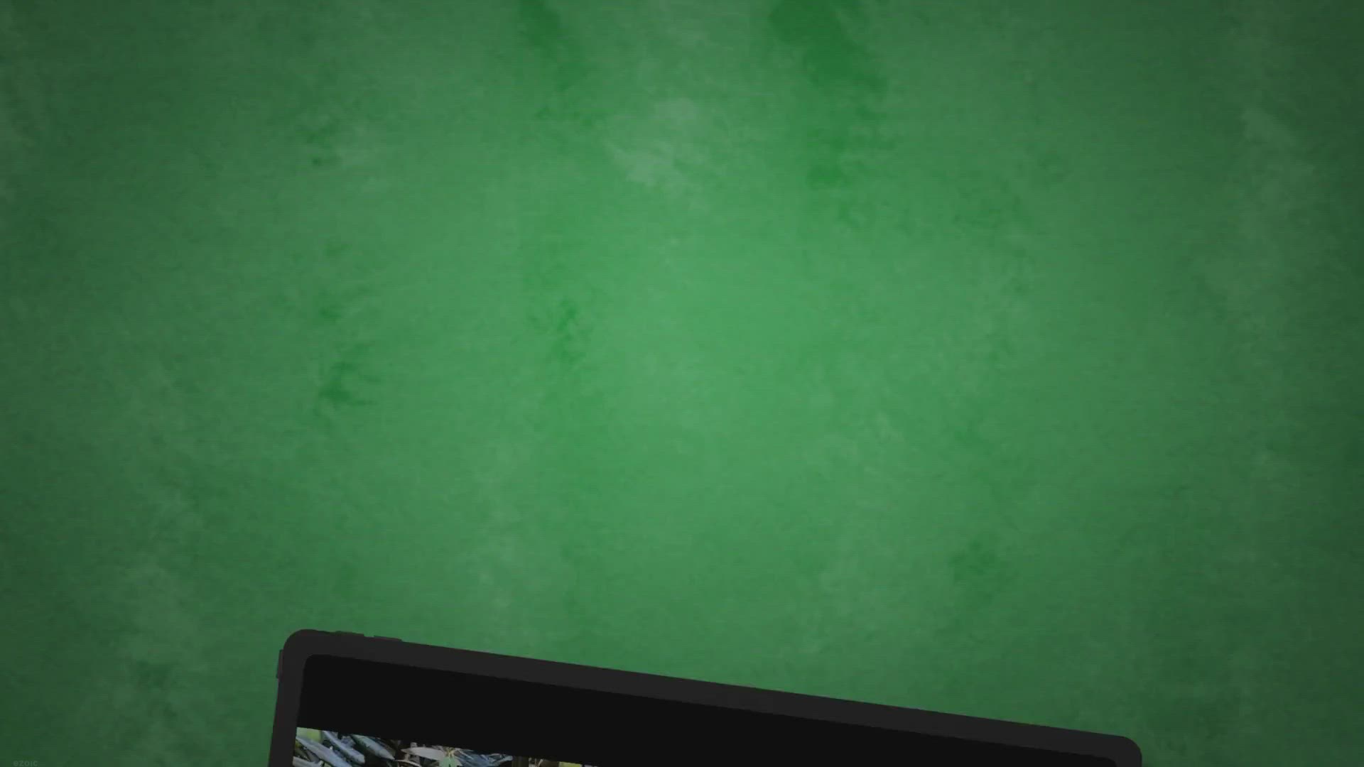 'Video thumbnail for Green Olives vs. Black Olives'