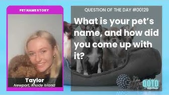 Video thumbnail for Taylor's dog isn't a doctor, but she plays one on TV!