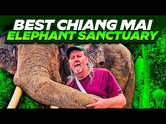 'Video thumbnail for Incredible Elephant Sanctuary Experience - Chiang Mai | Our Big Escape'